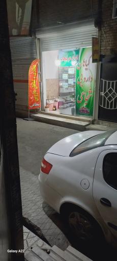 عکس گیاهان دارویی شجاعی