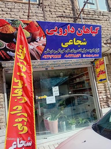عکس گیاهان دارویی شجاعی