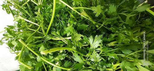 عکس سبزیجات آماده طبخ گلستان سبز