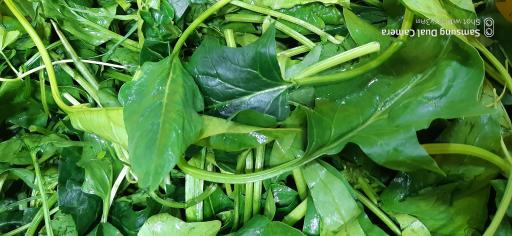 عکس سبزیجات آماده طبخ گلستان سبز