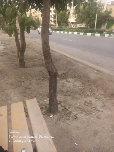 عکس  دندانپزشکان 18