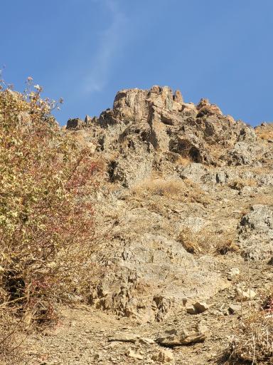 عکس جابان