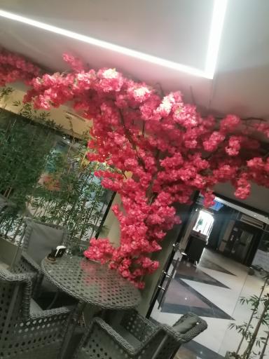 عکس کافه مضیف