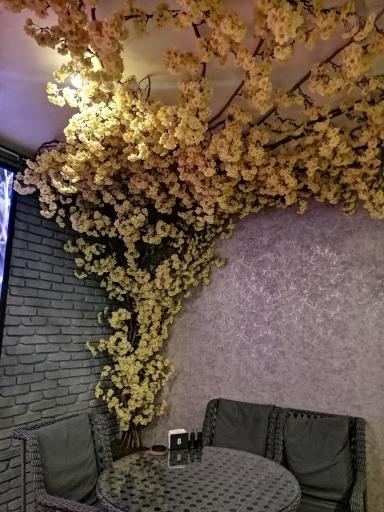 عکس کافه مضیف