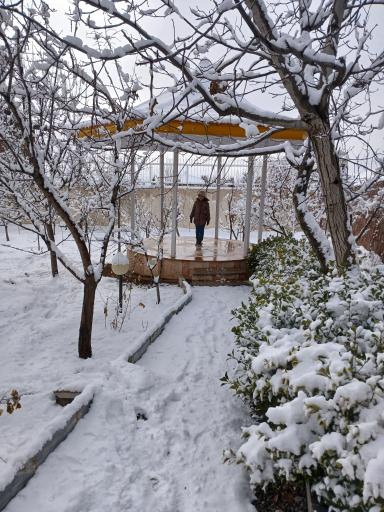 عکس جابان