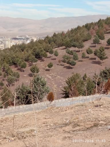 عکس بوستان تپه ابوذر