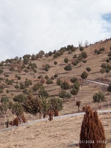 عکس بوستان تپه ابوذر