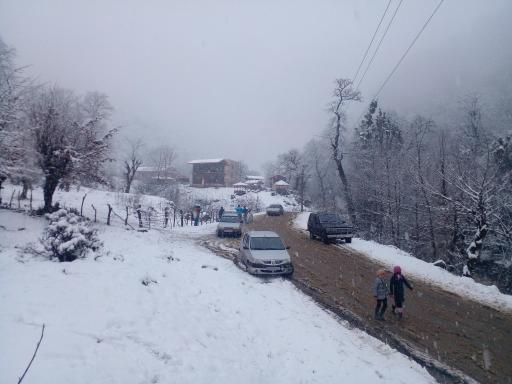 عکس طالب دره