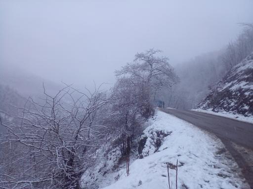 عکس طالب دره