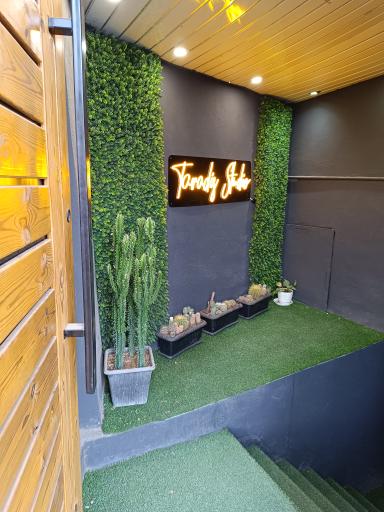 عکس استودیو تارادیس