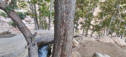 عکس چشمه بک بک