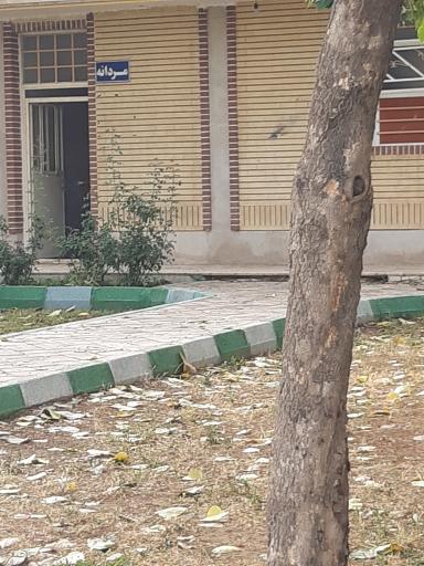 عکس سرویس بهداشتی