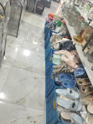 پلاسکو بهار امید