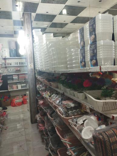 عکس پلاسکو بهار امید