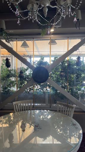 عکس کافه رستوران گیاهی مهر میترا