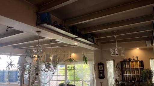 عکس کافه رستوران گیاهی مهر میترا