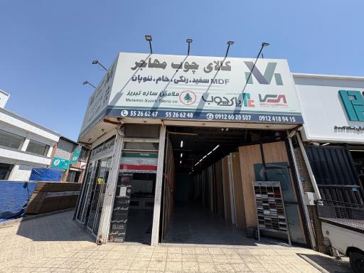 عکس کالای چوب مهاجر
