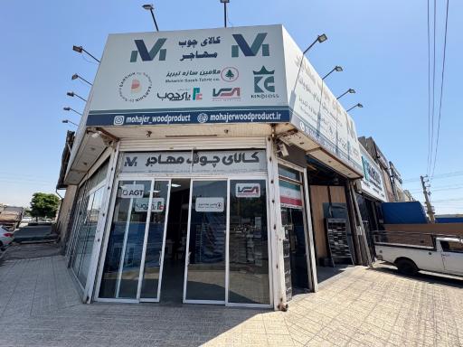 عکس کالای چوب مهاجر