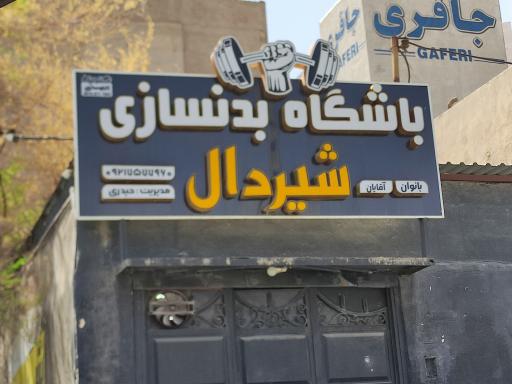 عکس باشگاه بدنسازی شیر دال