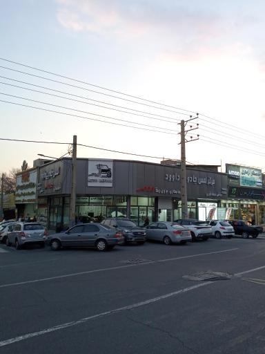 عکس صافکاری و نقاشی داوود