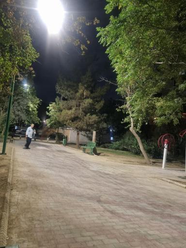 عکس بوستان بهار نارنج