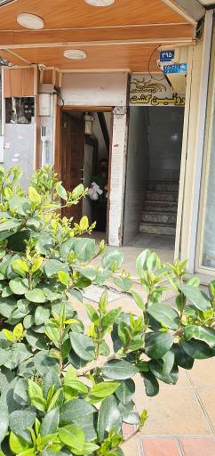 عکس آژانس مسافرتی روئین گشت