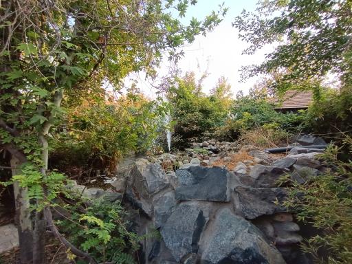 عکس رستوران سدروس