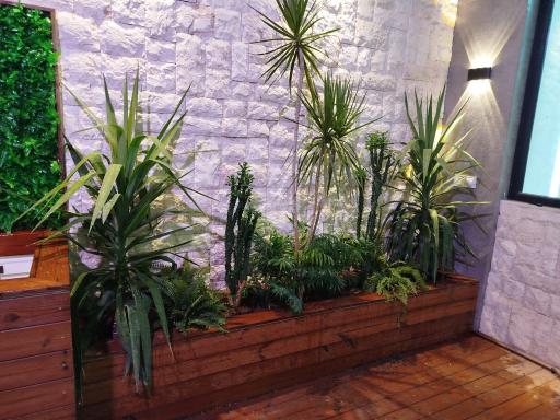 گلخانه ودود