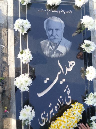 عکس مزار هدایت تقی زاده