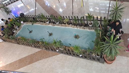 عکس سیتی سنتر سیمرغ