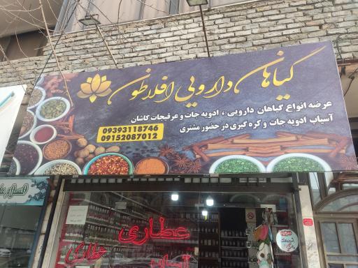 عکس عطاری افلاطون