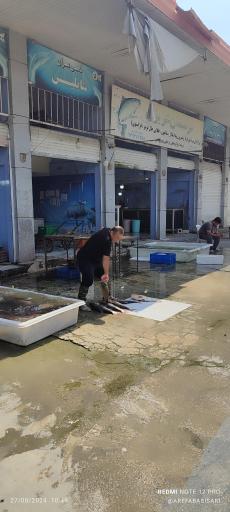 عکس بازار ماهی فروشان ساری