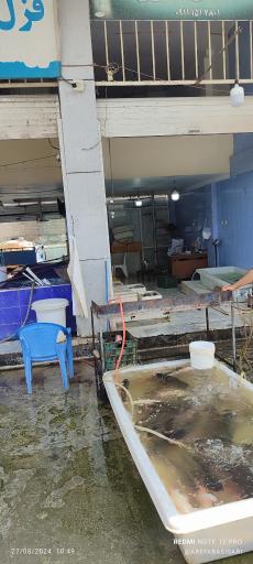 عکس بازار ماهی فروشان ساری