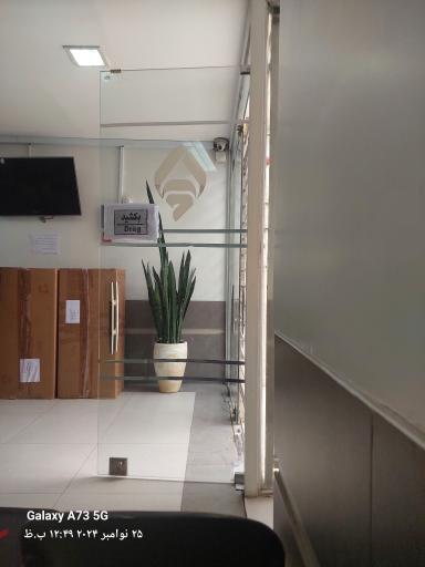 عکس رادیولوژی و سونوگرافی اوستا