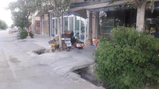 عکس میوه فروشی سید 