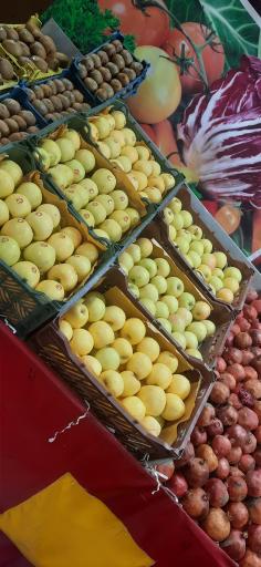 عکس میوه سرای حشمت فردوس