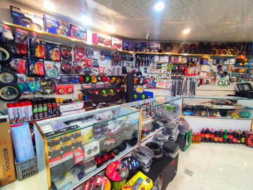 عکس دزدگیر سیستم لوکس