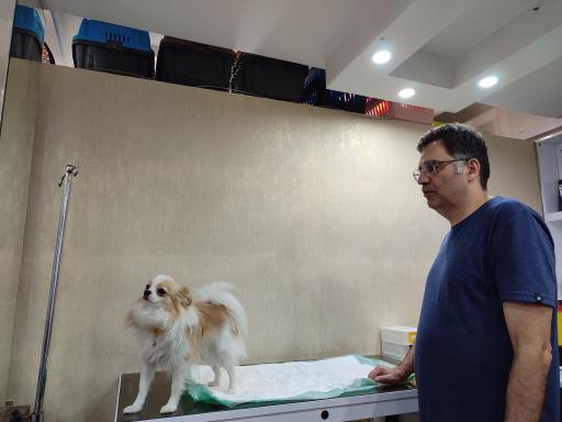 عکس دامپزشکی آراسپ