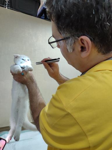 عکس دامپزشکی آراسپ