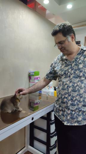 عکس دامپزشکی آراسپ