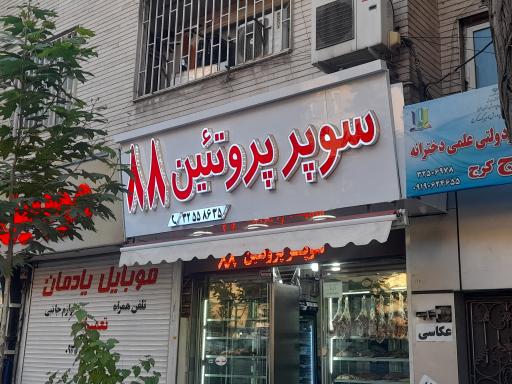 عکس پروتئین ۸۸