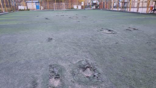 عکس زمین چمن باباقدرت