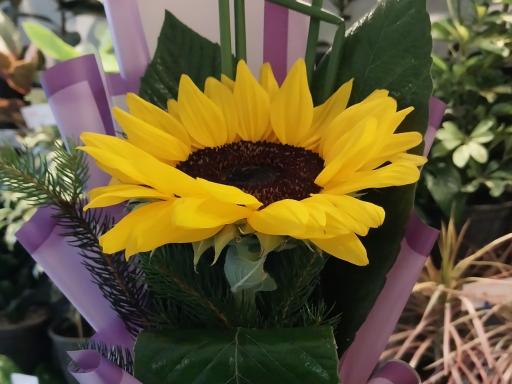 عکس گل فروشی