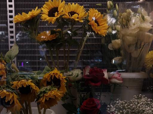 عکس گل فروشی