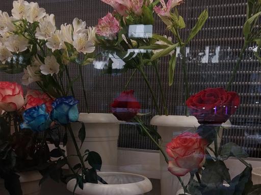 عکس گل فروشی