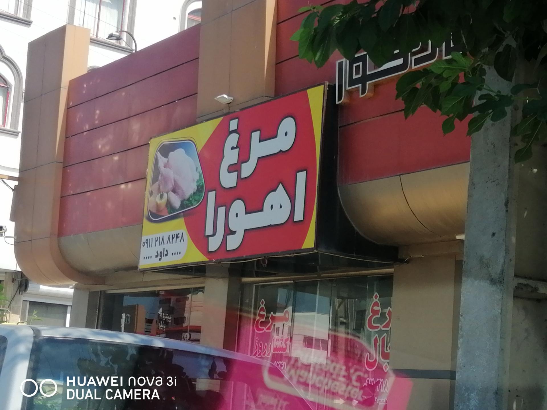 عکس مرغ اهورا 