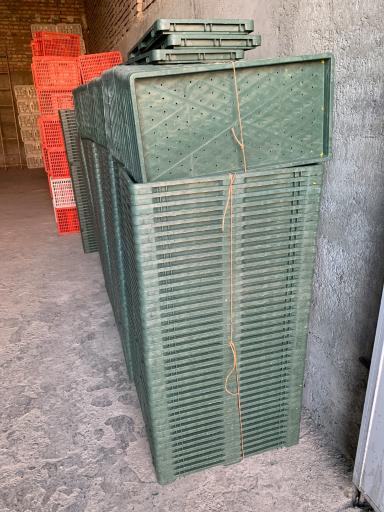 عکس سبد مرکبات و سینی نشا خوشکام