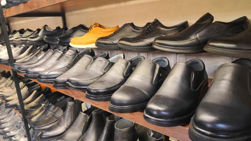 عکس دکتر پام