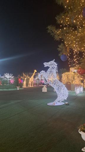 کوه نور صفه