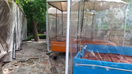 عکس سفره خانه سنتی عطر سیب